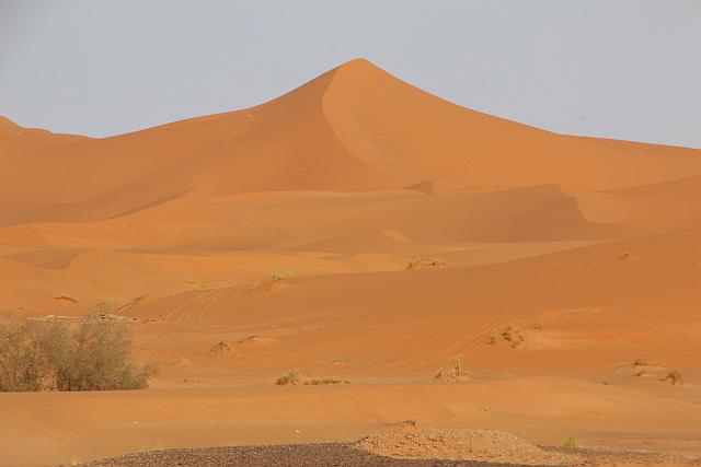 10_SBM_Erg_Chebbi.jpg