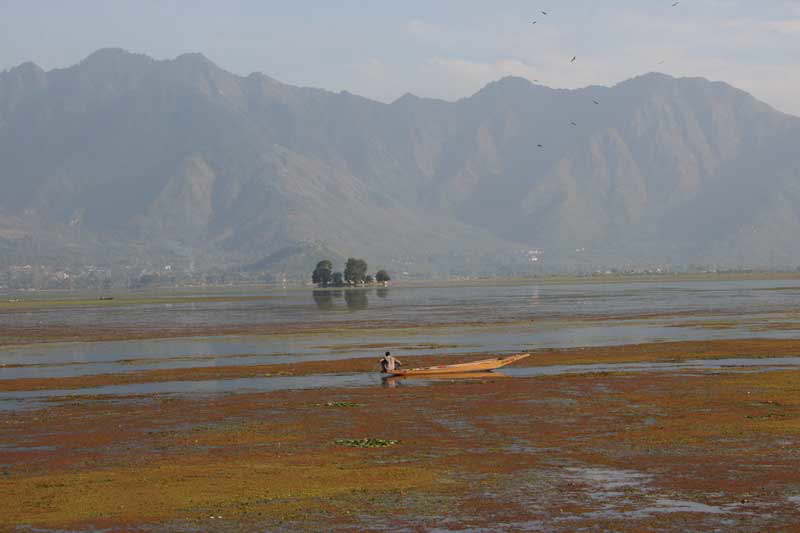 Fischer auf Dal-See