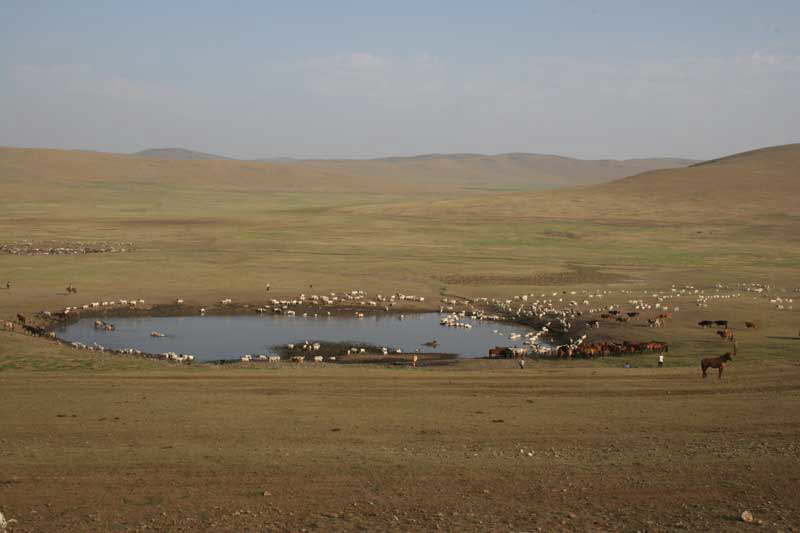 Mongolei