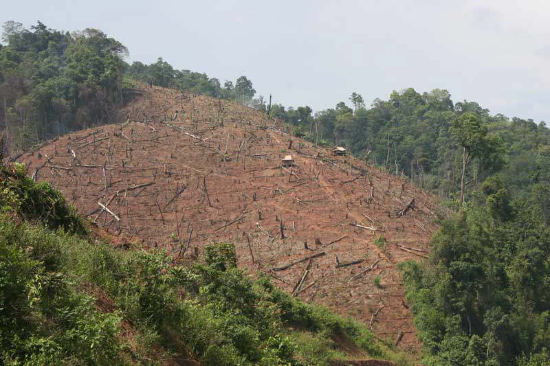 Kahlschlag im Norden von Laos