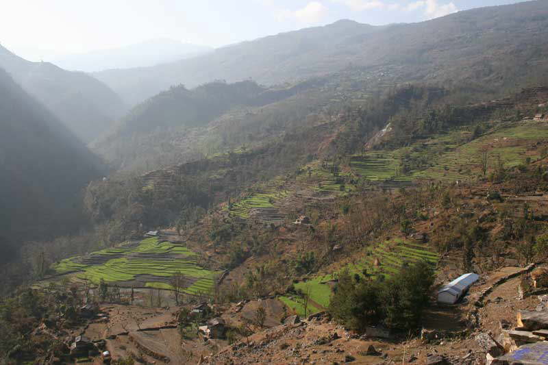 Annapurna-Trek - Terrassenfelder