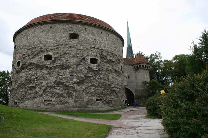 Tallin - Kanonenturm