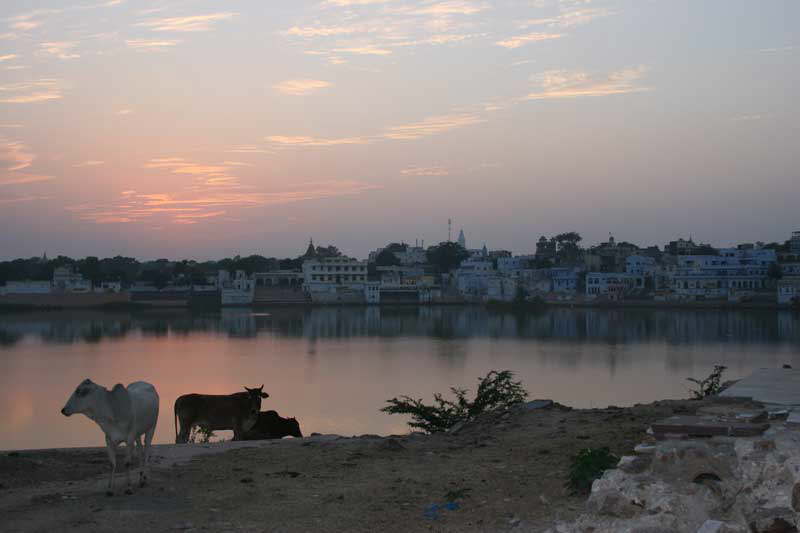 Abendstimmung in Pushkar