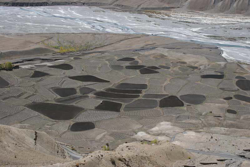 Felder im Spiti-Tal