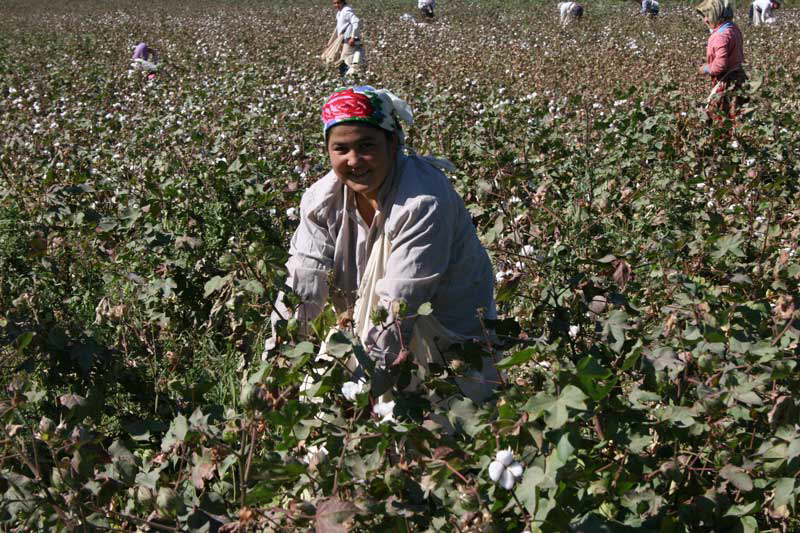 Baumwollpflckerin in Usbekistan