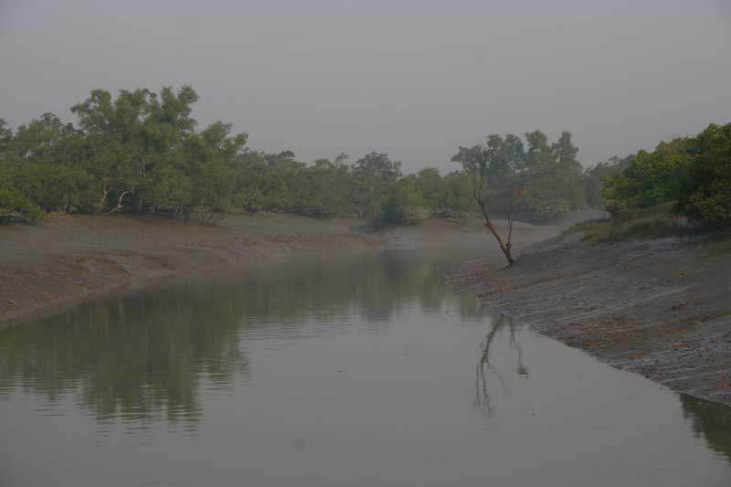 Sunderbans - Unterwegs im Sunderbans Tiger Reserve