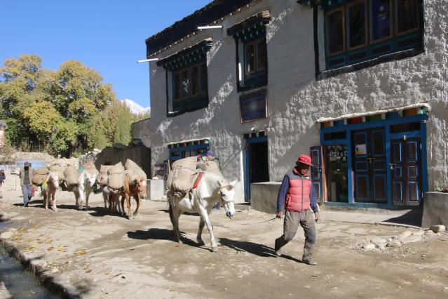 33_LoManthang.JPG